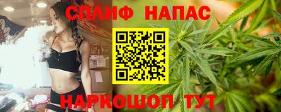 прущие крисы Будённовск