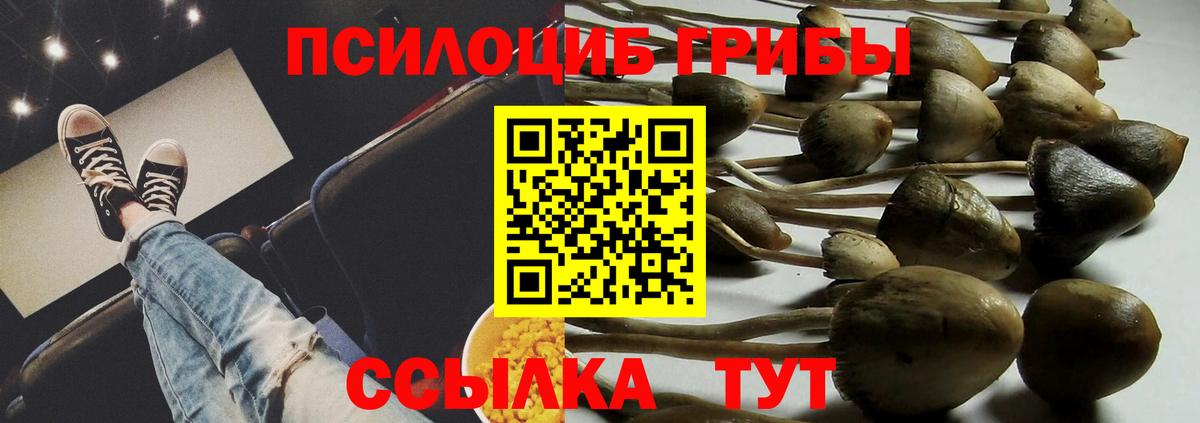Псилоцибиновые грибы GOLDEN TEACHER  Вход с VPN  Фрязино 